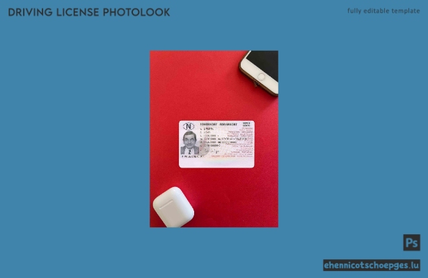 Norwegischer Führerschein, vollständig bearbeitbar, 2013 – heute, Fotoansicht-Beispielvorschau
